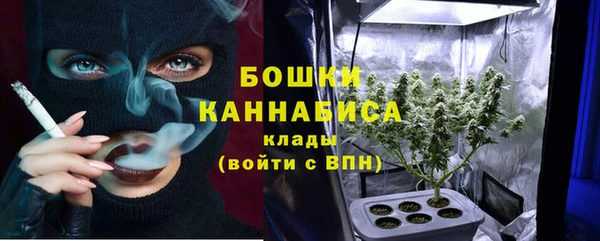 прущие грибы Вуктыл