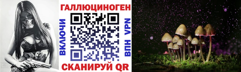как найти закладки  кракен сайт  Псилоцибиновые грибы Cubensis  Россошь 