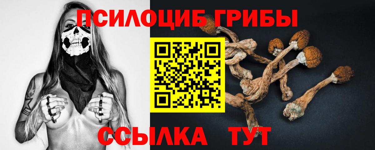 Галлюциногенные грибы Magic Shrooms Россошь